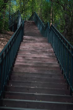 A steep wooden staircase with black railings ascending through a dense forest, surrounded by lush greenery and dappled sunlight.