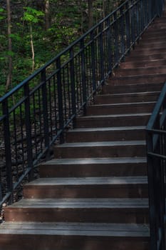 Wooden staircase with black metal handrails ascending through a lush green forest, surrounded by trees and scattered sunlight on the steps.