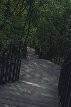 Wooden steps with metal railings wind through a lush green forest, creating a peaceful, shaded walkway in natural surroundings.