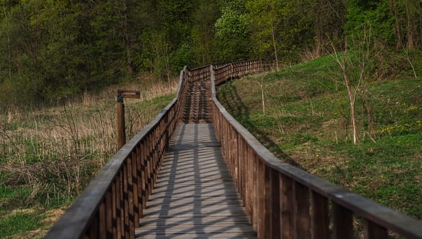 Elevated wooden pathway with handrails winding through a grassy meadow and green forest under warm spring sunlight.