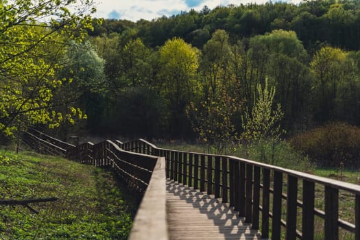 Wooden path with railings leading through a lush green forest in spring with fresh leaves and sunlight casting shadows across the walkway.