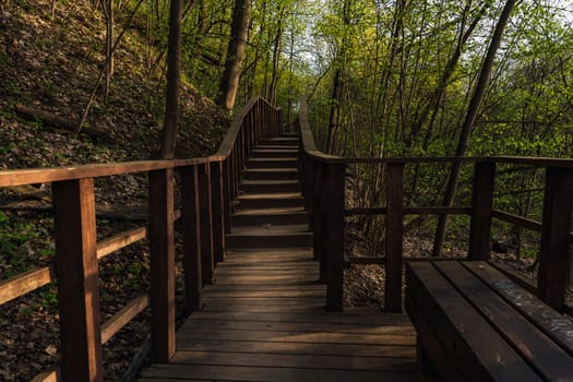 Wooden steps with railings lead uphill through a green forest, with a bench in the foreground and sunlight filtering through the trees.