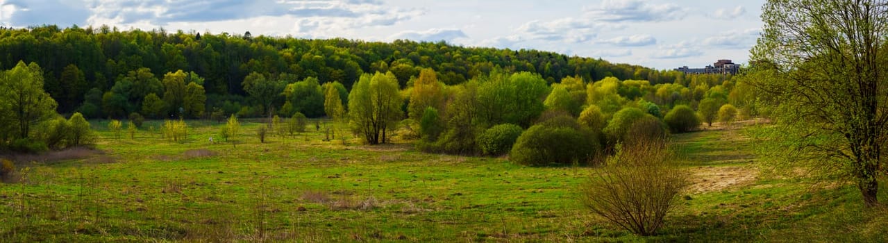 Wide landscape with lush green meadow, scattered trees, and dense forest in the background on a partly cloudy spring day with distant buildings on the horizon.