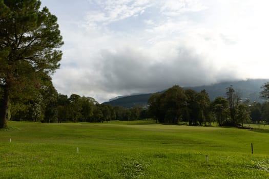 Scenic view of a vibrant green golf course under a cloudy sky, ideal for sports enthusiasts and outdoor activities during any season