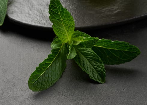 Sprig of mint with green leaves on black table