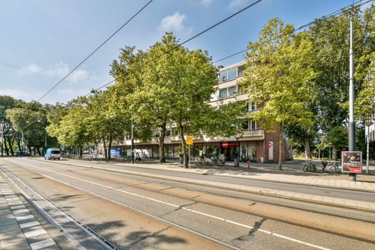 A busy urban street featuring vibrant trees and buildings. The scene captures the essence of city life with shops and transportation paths.