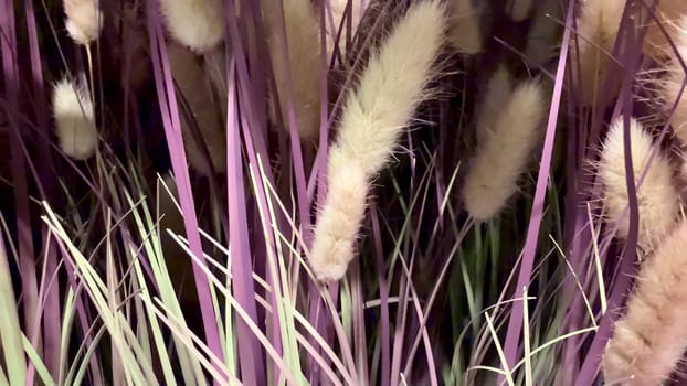 A close-up of dried grasses showcasing vibrant purple and green hues, perfect for nature-themed projects.