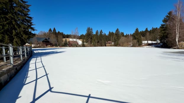A serene frozen lake, still and peaceful, surrounded by tall trees, showcasing winters tranquil beauty