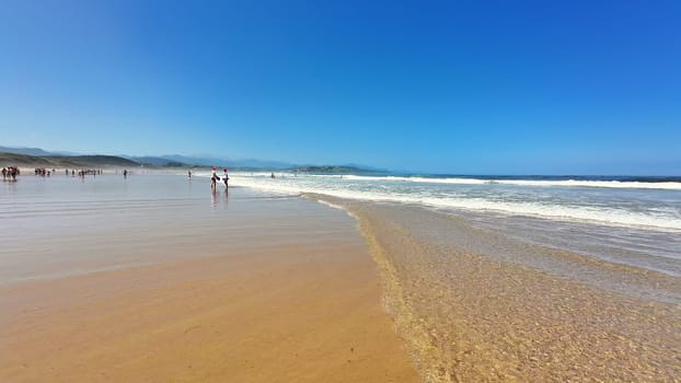 A tranquil beach scene showcasing clear blue skies and soft ocean waves gently lapping on the sandy shore