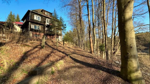 A beautiful view of a tranquil forest path leading to a quaint house surrounded by lush, green trees