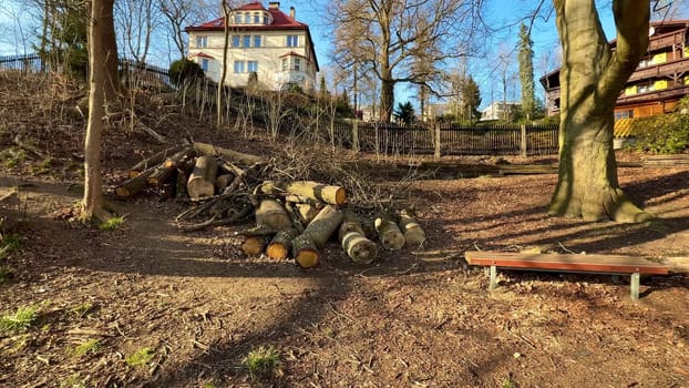 A serene and picturesque view of neatly stacked logs alongside trees in a beautifully tranquil landscape