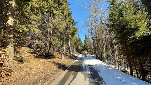 A serene and peaceful road gently meanders through a lush and beautiful forest landscape, adorned with patches of snow