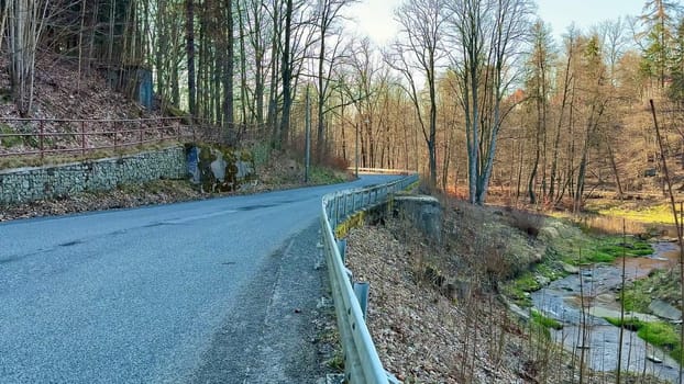 A stunningly beautiful view features a winding road gracefully bordered by tall, lush trees and a gentle stream nearby