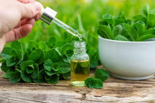Peppermint extract essential oil and supplements. Selective focus. nature.