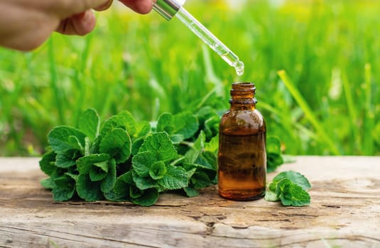 Peppermint extract essential oil and supplements. Selective focus. nature.