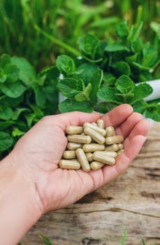 Peppermint extract essential oil and supplements. Selective focus. nature.