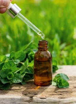 Peppermint extract essential oil and supplements. Selective focus. nature.