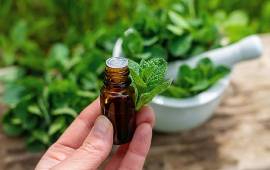 Peppermint extract essential oil and supplements. Selective focus. nature.