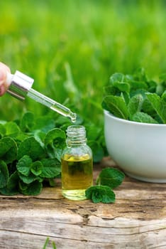 Peppermint extract essential oil and supplements. Selective focus. nature.