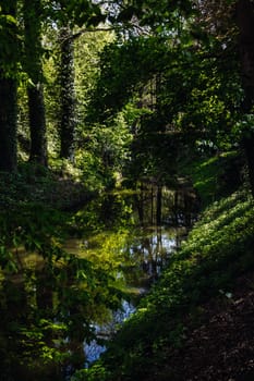 Beautiful view of a narrow river that runs with a left turn between trees in a wooded area in a public park on a sunny spring day, side view close-up. Concept natural backgrounds, forest rivers and streams.