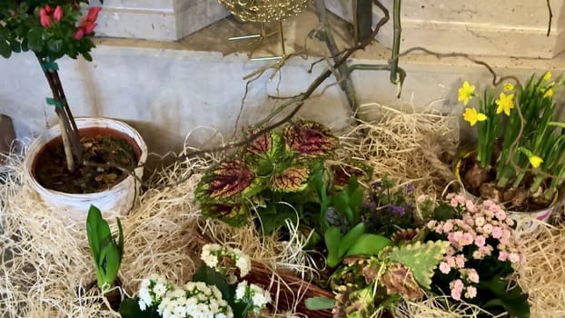 A stunning composition of diverse, beautiful plants like orchids and eucalyptus, elegantly arranged