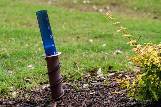 Outdoor plastic rain gauge showing five inches of rain from downpour storm