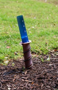 Outdoor plastic rain gauge showing five inches of rain from downpour storm
