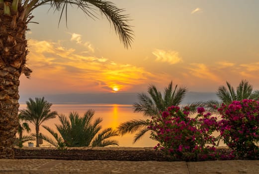 Flowers and palm tree frame the sunset over the Dead Sea in Jordan with Israel in the distance