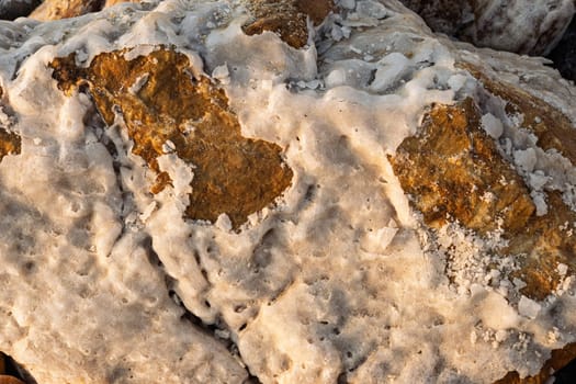 A close-up view showcasing the unique salt formations encrusted on rocks at the dead sea's edge, glistening in the sunlight