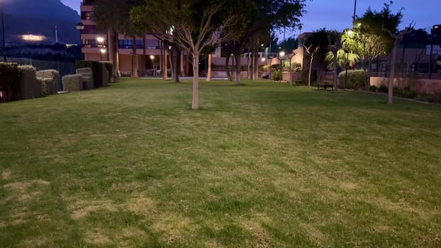 A serene and tranquil park scene showcasing lush, vibrant grass along with softly illuminated trees at twilight