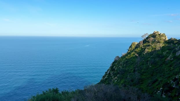 The breathtaking and stunning view of the vast ocean from a lush, green cliff under clear blue skies