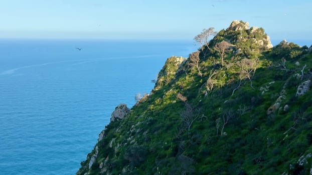 The breathtaking view of coastal cliffs overlooking serene ocean waters on a clear day is truly mesmerizing