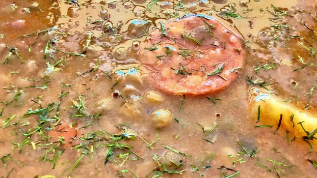 A vibrant, mouthwatering stew featuring herbs, spices, and flavorful ingredients cooked to perfection.