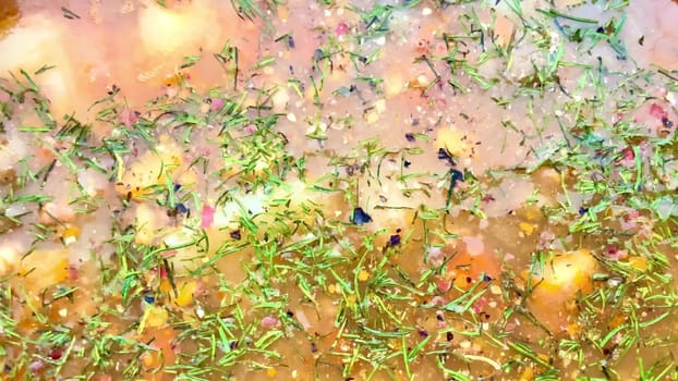 Aromatic bowl of hearty soup, garnished with fresh herbs and spices, perfect for any meal of the day