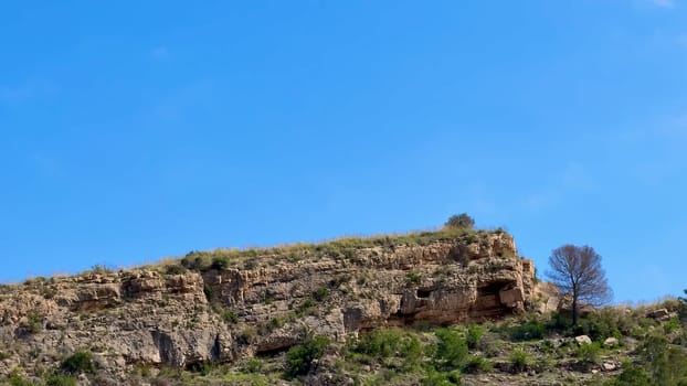 There is a stunning view of a rocky cliff, beautifully adorned with vibrant greenery, all set beneath a clear blue sky