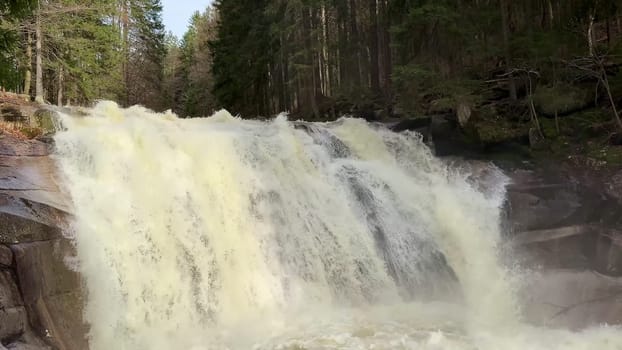 Experience the breathtaking beauty of a powerful waterfall cascading gracefully through lush, dense greenery