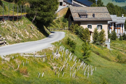 Swiss road with palisades, road construction