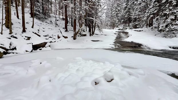 A beautifully serene winter scene featuring a snowcovered ground alongside a gently flowing river amid tall trees
