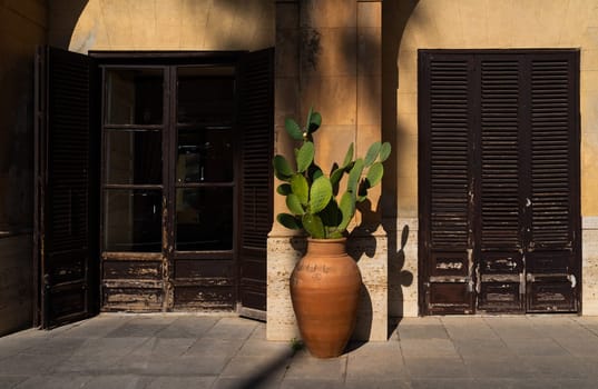 Rustic Mediterranean facade featuring an aged doorway with wooden shutters, a large terracotta pot with a cactus, and warm sunlight casting shadows, evoking a sense of timeless charm