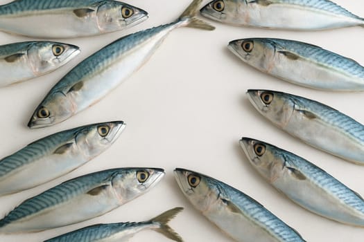 AI generated top view of fresh whole mackerel fish with shiny skin and clear eyes arranged neatly showcasing natural silver-blue color against clean white background