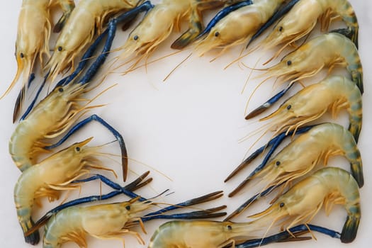 AI generated top view of fresh whole giant river prawns with vivid blue-black shells and long claws arranged neatly showcasing premium quality against clean white background
