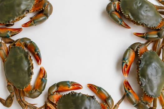 AI generated top view of fresh whole blue crabs with vibrant shells and sharp claws arranged neatly showcasing premium seafood against clean white background