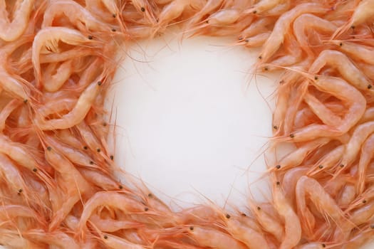 AI generated top view of fresh whole tiny river shrimp with translucent shells and delicate features piled abundantly showcasing natural beauty against clean white background