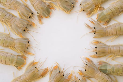 AI generated top view of fresh whole mantis shrimp with vibrant striped shells and distinctive claws arranged neatly showcasing exotic seafood against clean white background