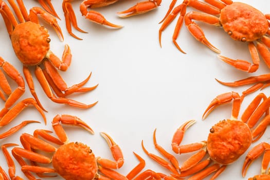 AI generated top view of fresh whole snow crabs with pristine white shells and long elegant legs arranged neatly showcasing luxury seafood against clean white background
