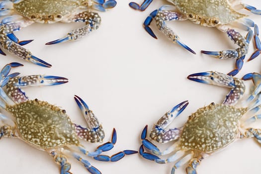 AI generated top view of fresh whole blue swimmer crabs with vibrant shells and meaty claws arranged neatly showcasing premium seafood quality against clean white background