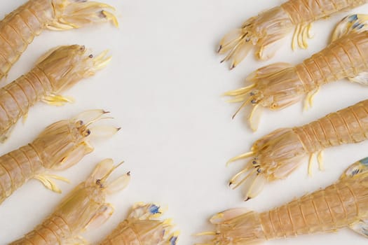 AI generated top view of fresh whole mantis shrimp with vibrant striped shells and distinctive claws arranged neatly showcasing exotic seafood against clean white background