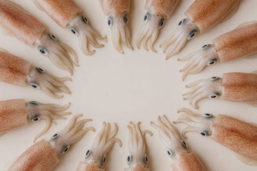 AI generated top view of fresh whole beka squid with glossy skin and delicate features arranged neatly showcasing premium seafood against clean white background