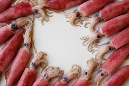 AI generated top view of fresh whole splendid squid with glossy skin and delicate tentacles arranged neatly showcasing premium seafood against clean white background