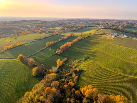 France, Gironde, Tabanac, Aerial view of the vineyard and wooded areas of Chateau le Pic in the Bordeaux vineyards at sunset. High quality photo